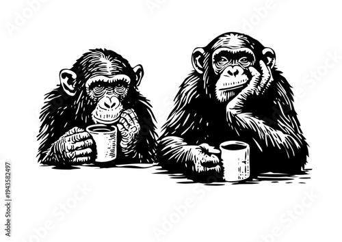 Vector illustration two chimpanzee to drinks coffee 