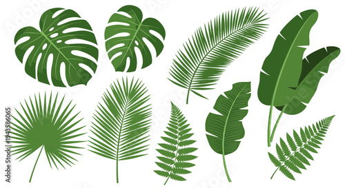 Lush collection of exotic green tropical jungle plant leaves