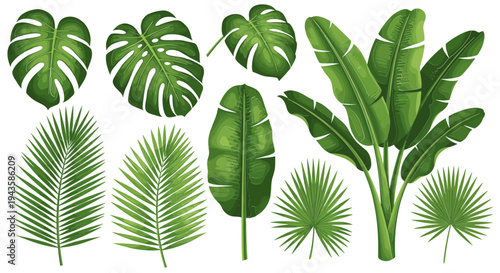 Vibrant Set of Tropical Jungle Leaves and Exotic Palm Foliage Illustrations