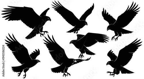 Silhouette eagle collection, realistic vector art, predator birds