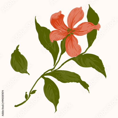 orange vector flower original illustration