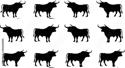Highland cow silhouettes collection, horned cattle side view icons set for farm livestock design, black animal shapes flat vector illustration