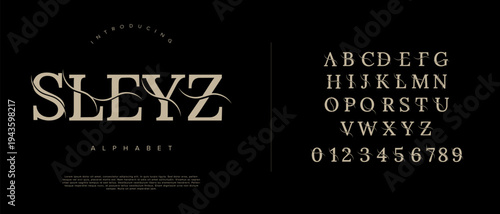Sleyz modern serif ligature font for creative branding editorial logo design and stylish feminine magazine layouts