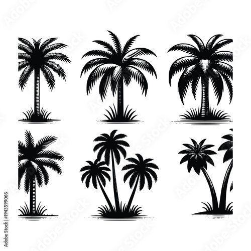 Set of Six Silhouetted Palm Trees for Nature and Travel Themes