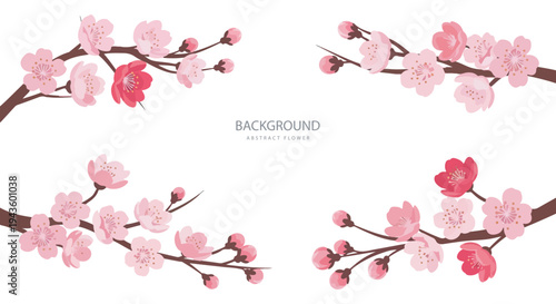 Four delicate cherry blossom branches with pink flowers and buds on a white background, illustrating spring flora.