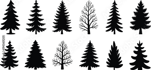 WebTree silhouette collection, coniferous pine fir spruce, deciduous leafless forms, diverse woodland shapes, natural forest landscape, eco design, flat vector illustration