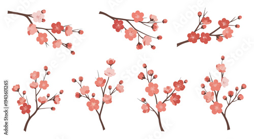 Six delicate pink and red cherry blossom branches with flowers and buds, isolated on a white background, in a graphic illustration style.