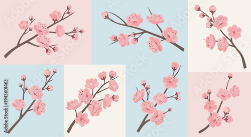 Seven delicate pink cherry blossom branches with buds against pastel backgrounds.