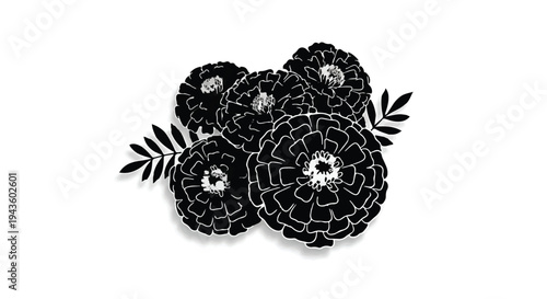 Elegant black and white illustration of a cluster of marigold flowers with delicate leaves