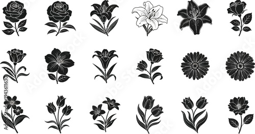 Black and white floral on white background flowers silhouettes 1