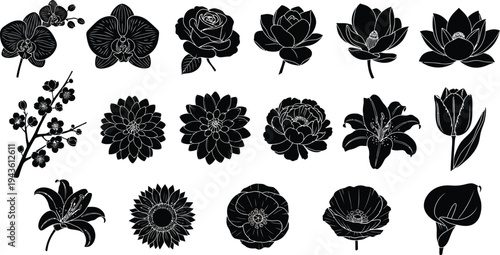 Black and white floral silhouettes on white background flowers 1