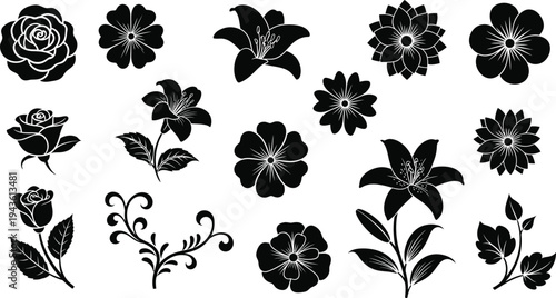 Black and white floral silhouettes with white outlines on plain white background flowers