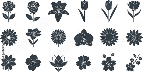 Black and white floral with various flower types flowers plants