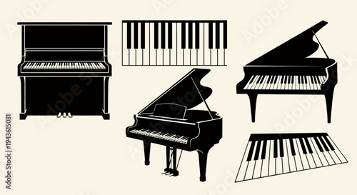 Collection of Various Pianos and Keyboard Instruments for Music Enthusiasts.