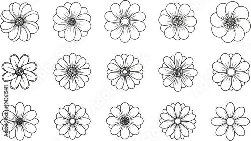 Black and white line drawn flowers on white background floral