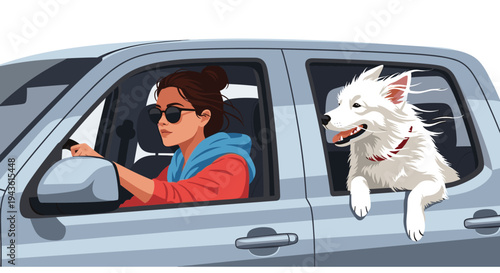Stylish woman in sunglasses driving a light gray car with a happy white dog sticking its head out of the passenger window to feel the wind.