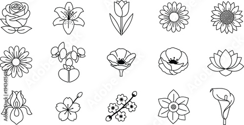 Black and white line of various flowers 1