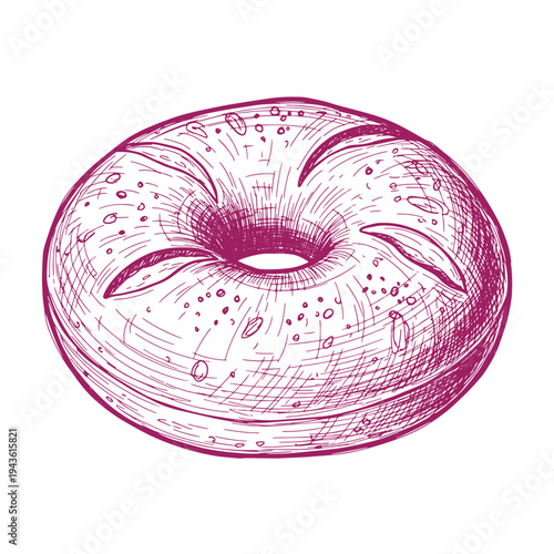 Hand drawn illustration of a purple bagel with seeds on a white background