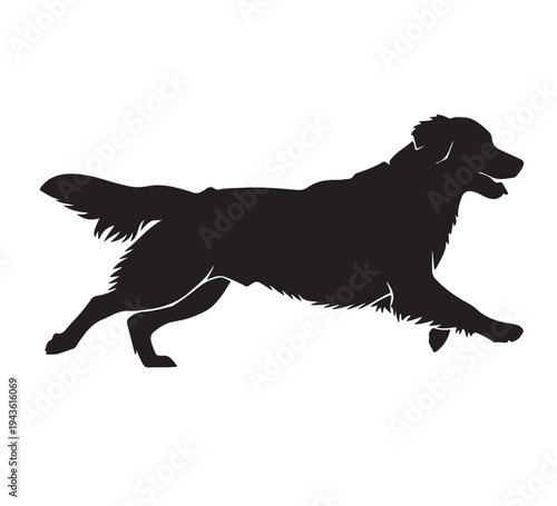 Dynamic silhouette of a majestic, long-haired canine in full stride, capturing the graceful movement and energetic spirit of a beloved companion animal illustration