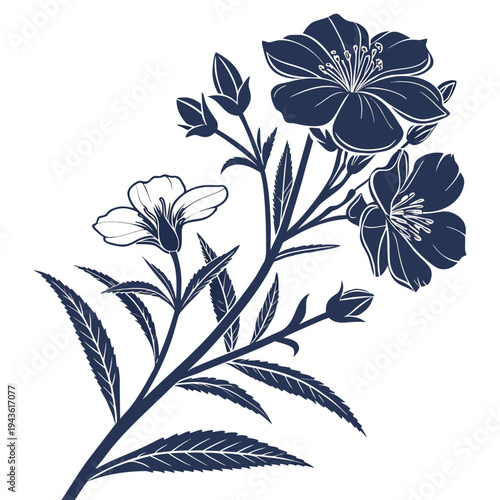 Εκτύπωση καμβά cistus silhouette on white background