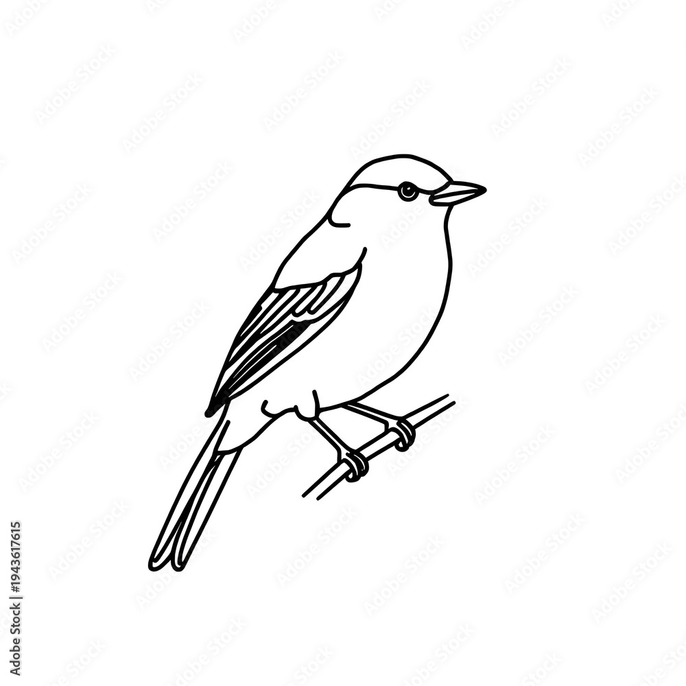 Obraz premium vector illustration of a bird