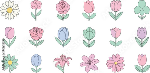 Colorful flowers in pastel shades on white background