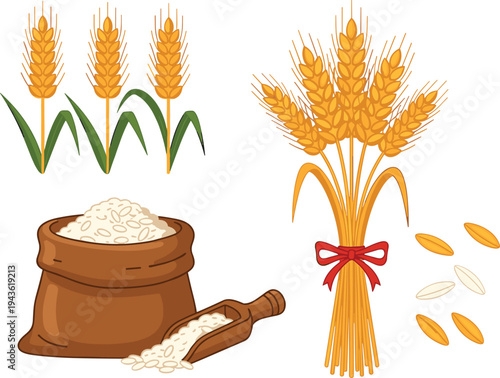 Wheat ears rice grains sack and scoop agriculture harvest cereal crop farming food ingredient vector illustration isolated farming harvest concept