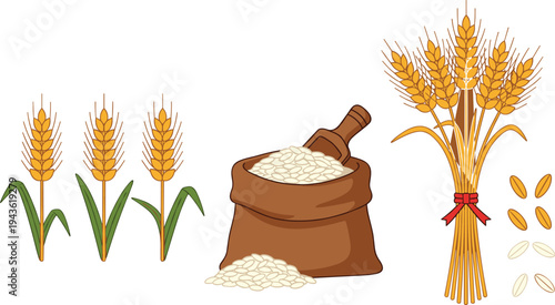 Wheat ears rice grains sack with scoop agriculture harvest cereal crop farming food ingredient vector illustration isolated organic farm concept