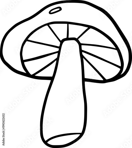 Hand Drawn Mushroom Line Art Illustration