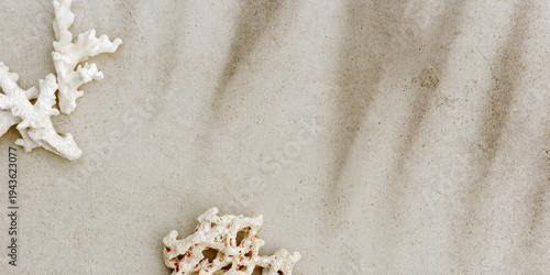 Minimal banner with sea corals on warm beige grey stone background with palm leaf shadow and copy space, beach relax for spa interiors, wellness branding, calm neutral aesthetic organic texture.