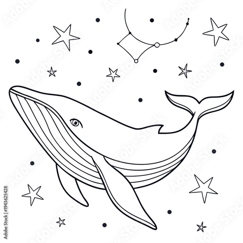 Whale swimming in starry night sky with constellation floating celestial ocean animal digital illustration