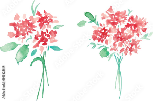 水彩画。水彩タッチのカーネーションベクターイラスト。母の日のカーネーション背景フレーム。
Watercolor painting. Watercolor carnation vector illustration. Mother's Day carnation background frame