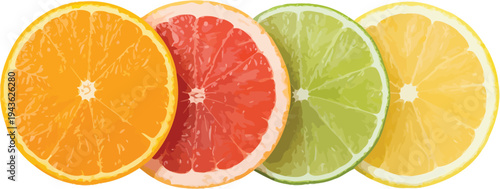 Citrus Slice Illustration Featuring Bright Orange Slice with Segmented Flesh and Deep Pink Grapefruit Slice Detail