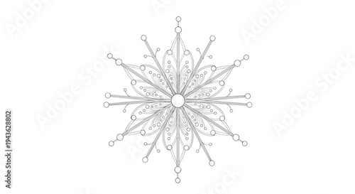 Detailed black and white snowflake illustration showcases the complex and unique symmetry of frozen water crystal patterns.