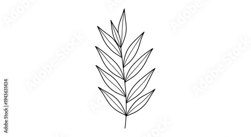 Vertical plant stem with numerous thin pointed leaves is depicted as a simple black line drawing for nature art.