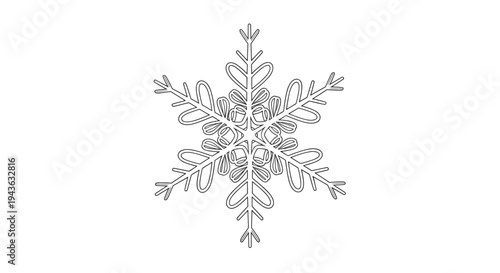 detailed hexagonal snowflake with intricate crystalline patterns is presented in a clean black line art drawing for winter and holiday design.