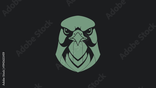 Stylized Falcon Head Emblem with Intense Gaze.