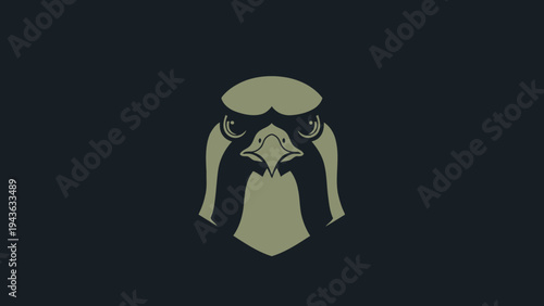Stylized Falcon Head Emblem with Intense Gaze.