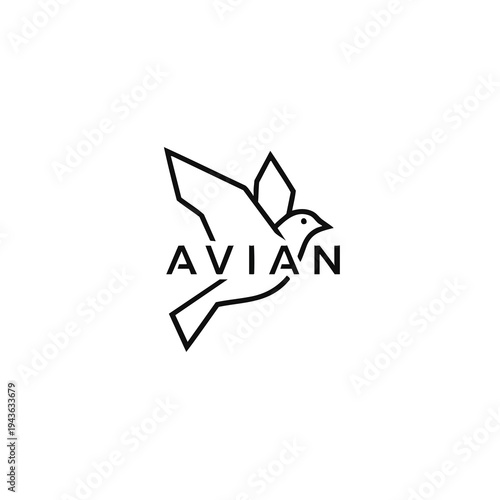 Minimalist line art logo of a flying bird with the word Avian.