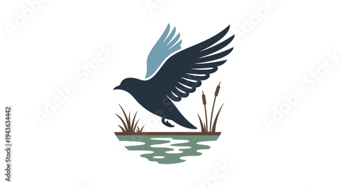 a bird taking flight over water.