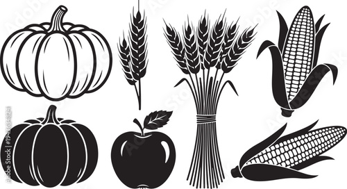 Harvest season icons with pumpkin, wheat, corn, and apple