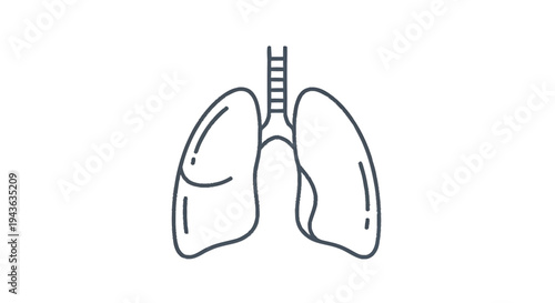 Simple Line Drawing of Human Lungs and Trachea.