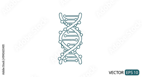 Stylized DNA Double Helix Structure Illustration.