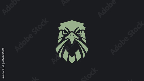 Stylized Eagle Head Emblem with Intense Gaze.