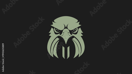 Stylized Eagle Head Emblem with Intense Gaze.