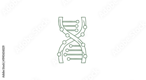 Stylized DNA Double Helix Structure Illustration.