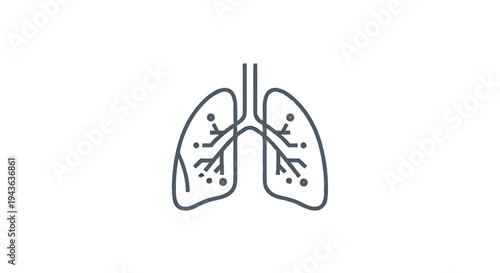 Simple Line Art Illustration of Human Lungs Anatomy.