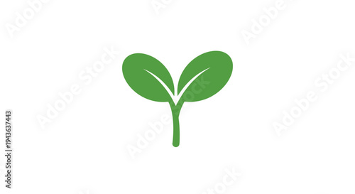 Emerging Green Sprout: A vibrant green sprout with two leaves reaching upwards, symbolizing new life, growth, and the potential for a flourishing future.