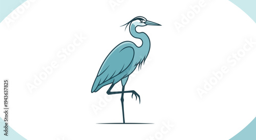 Illustration of a blue heron standing.