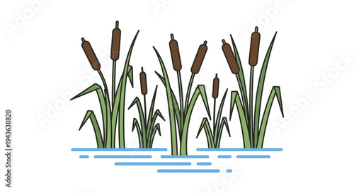 Illustration of cattails in water.